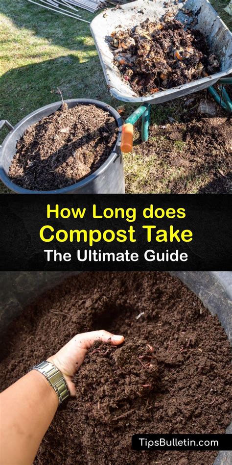 how long does it take to make compost tea