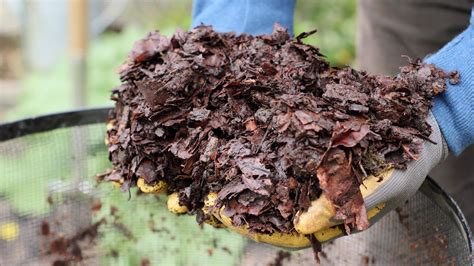 how long does it take to make leaf mould