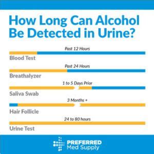 how long is alcohol detectable in urine reddit