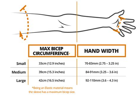 how long is the average arm in cm