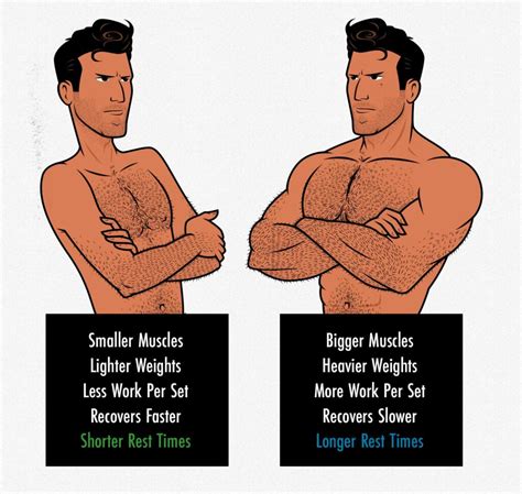 how long should you rest your muscles after a workout