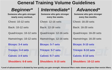 how many back exercises per session