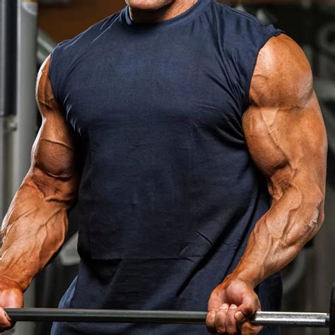 how many back exercises per week