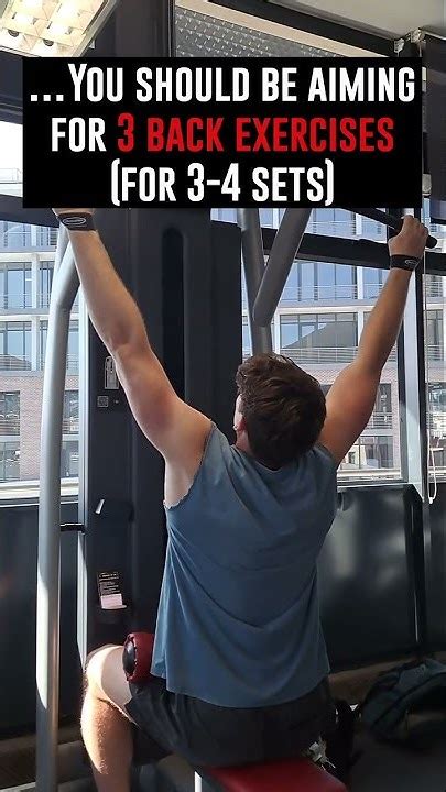 how many back exercises should you do in a workout