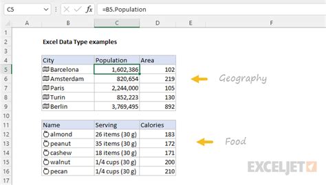 how many data types in ms excel with examples