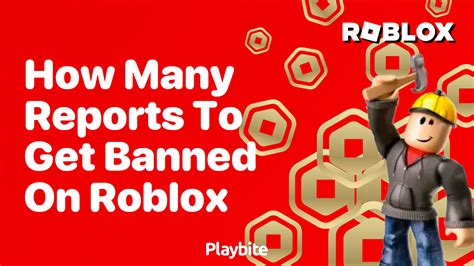 how many reports to get a warning on roblox