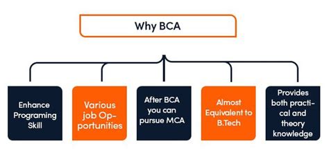 how many types of bca are there
