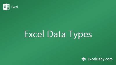 how many types of data can be entered in excel sheet