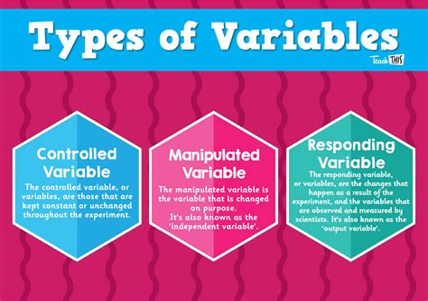 how many types of variables