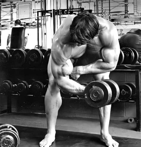 how much can arnold bicep curl