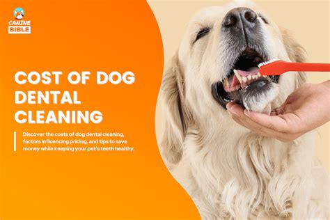 how much do dental cleaning cost for dogs