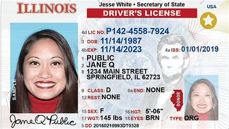 how much does a duplicate driver's license cost in illinois
