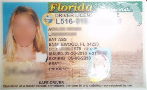 how much does a replacement driver's license cost in florida