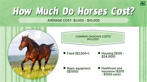 how much does a vso cost