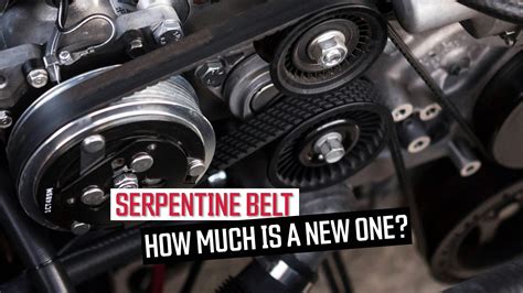 how much does it usually cost to replace a serpentine belt