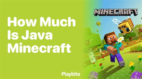 how much does minecraft java cost in india