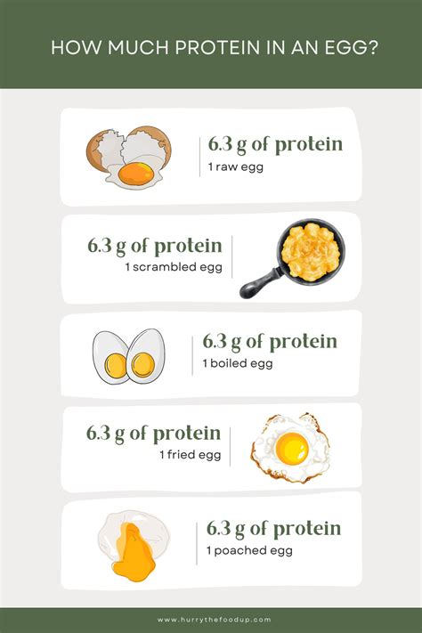 how much is 2 3 of an egg