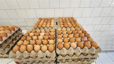 how much is a crate of egg in usa
