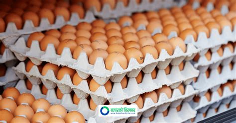 how much is a crate of egg now