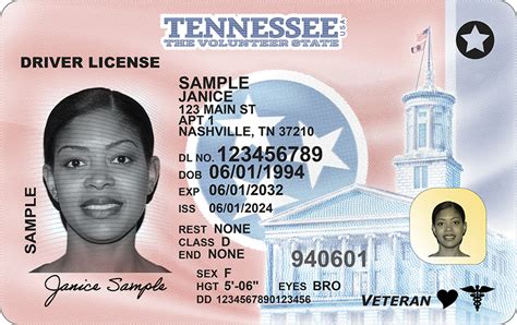 how much is a duplicate license in tn