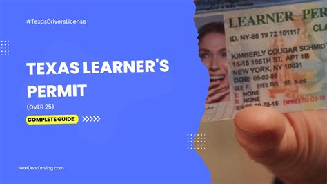 how much is a learner's permit in texas