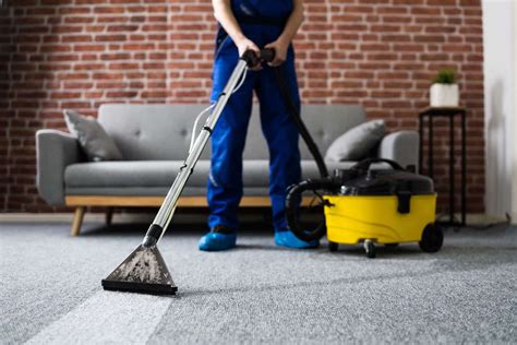 how much is a professional carpet cleaner