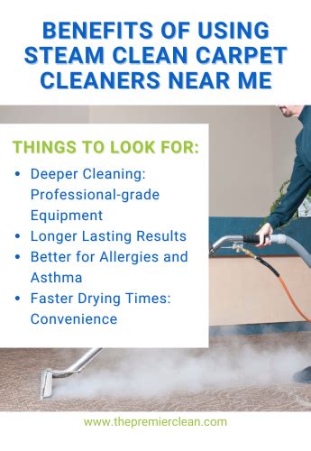 how much is a professional steam clean