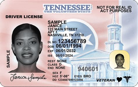 how much is a replacement id in tn