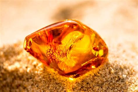 how much is fossilized amber worth