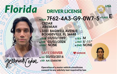 how much is it for a learner's permit in florida