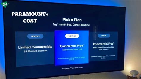 how much is paramount plus for a year
