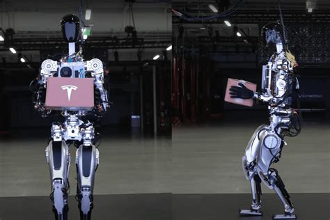 how much money is a tesla robot