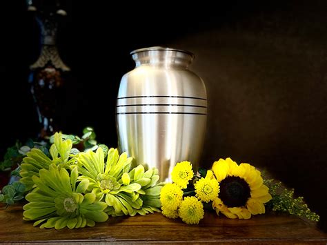 how much should a basic cremation cost