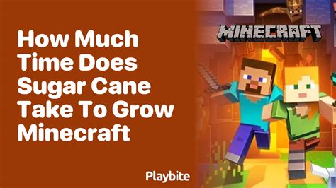 how much time does sugar cane take to grow minecraft java
