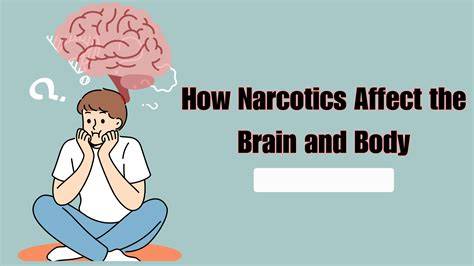 how narcotics affect body brain