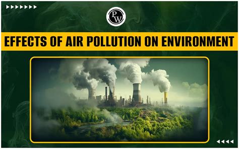 how pollution effects environment
