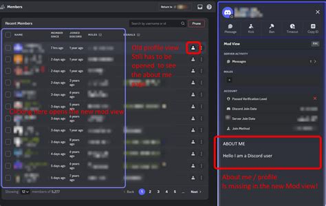 how to access mod view on discord