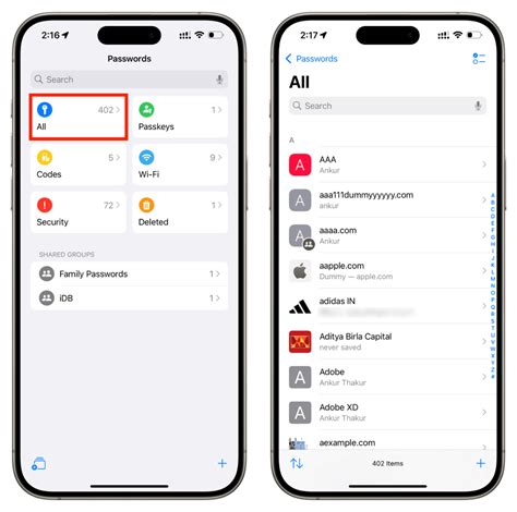 how to access passwords on iphone ios 18