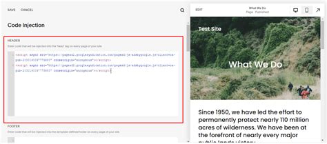 how to add adsense code to squarespace