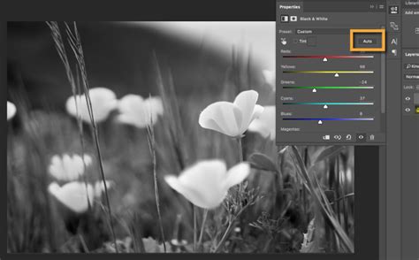 how to add color to a black and white image in photoshop