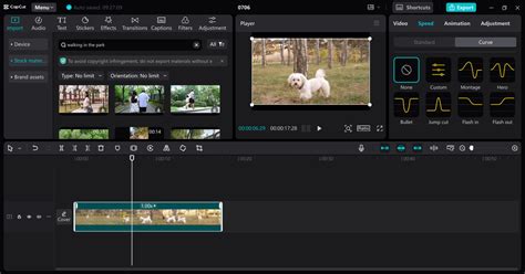 how to add fast forward effect in capcut