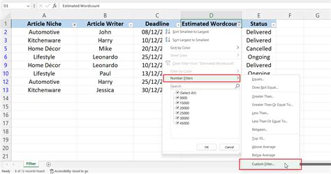 how to add filter formula in excel 2007
