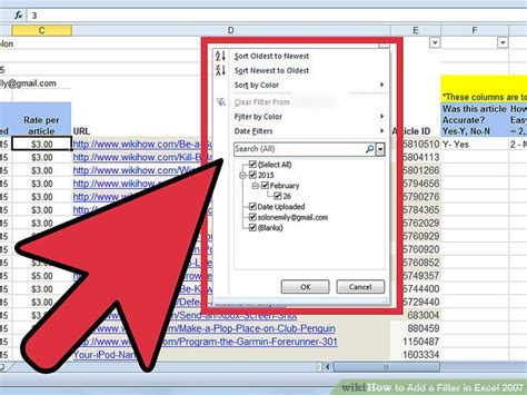 how to add filter function in excel 2007