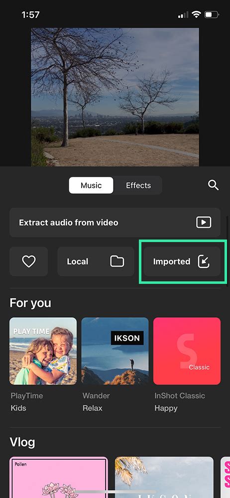 how to add music to inshot video on iphone