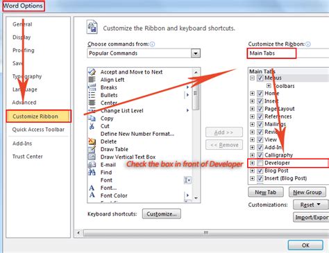 how to add the developer tab in word