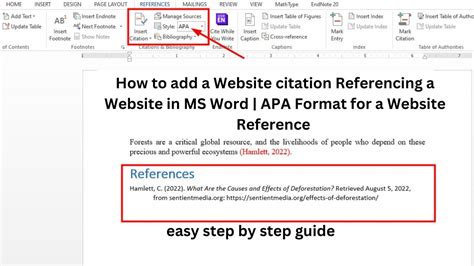 how to add website source in word