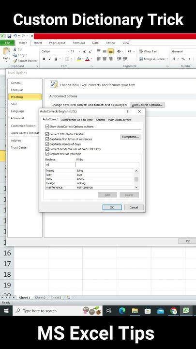 how to add words to custom dictionary in excel