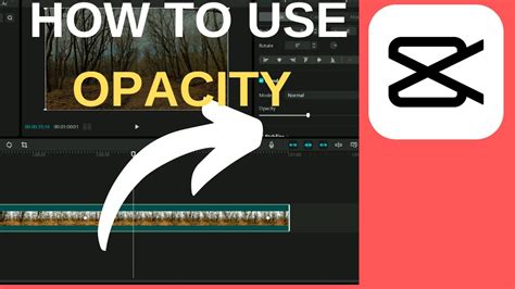 how to adjust image opacity in capcut pc