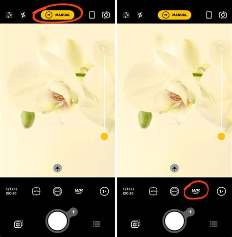 how to adjust iso on iphone camera