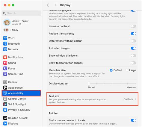 how to adjust text size in apple books